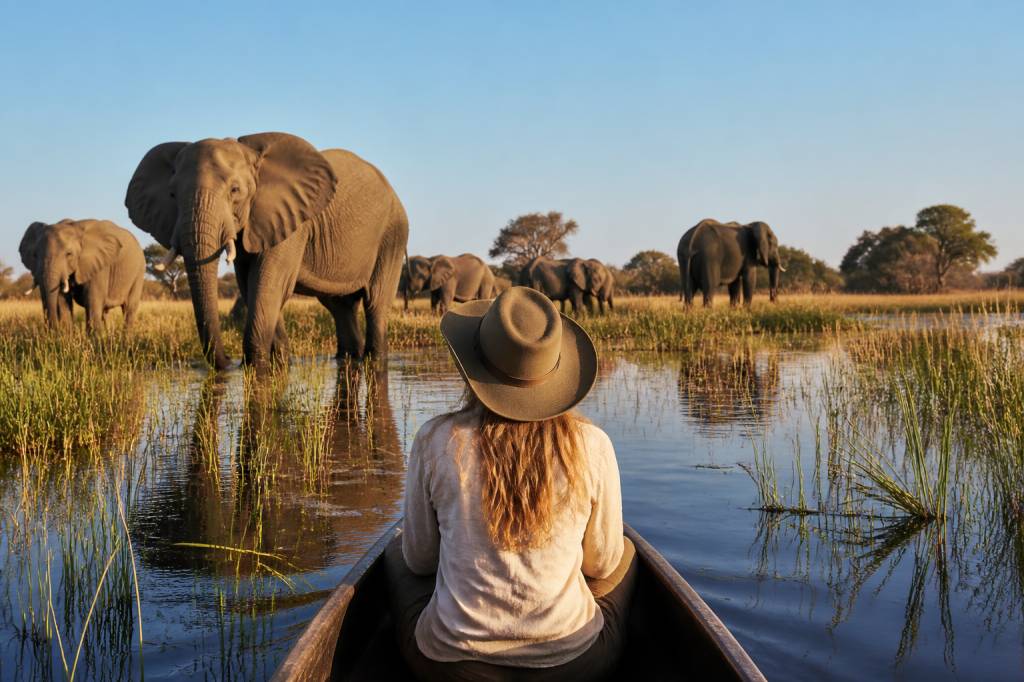 Botswana safari : rencontres sauvages au cœur de l’okavango