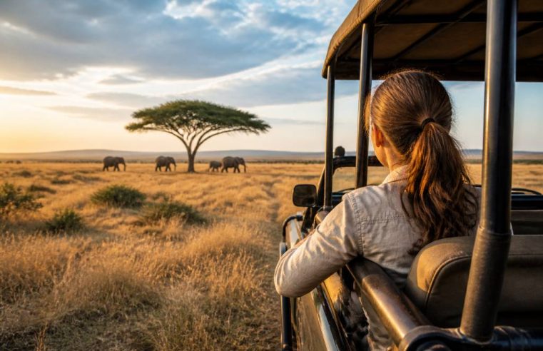 Voyage sur mesure au kenya : créez une expérience unique